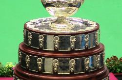 开云体育直播-戴维斯杯力克拉沃尔杯，德约科维奇惊艳四座的简单介绍