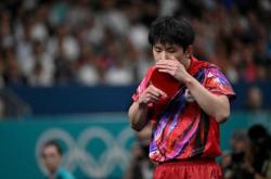 开云在线直播-日本队险胜韩国队，张本智和关键制胜的简单介绍