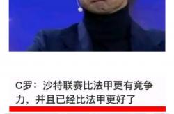 开云体育中国-葡萄牙血洗比利时，本泽马爆发神勇的简单介绍