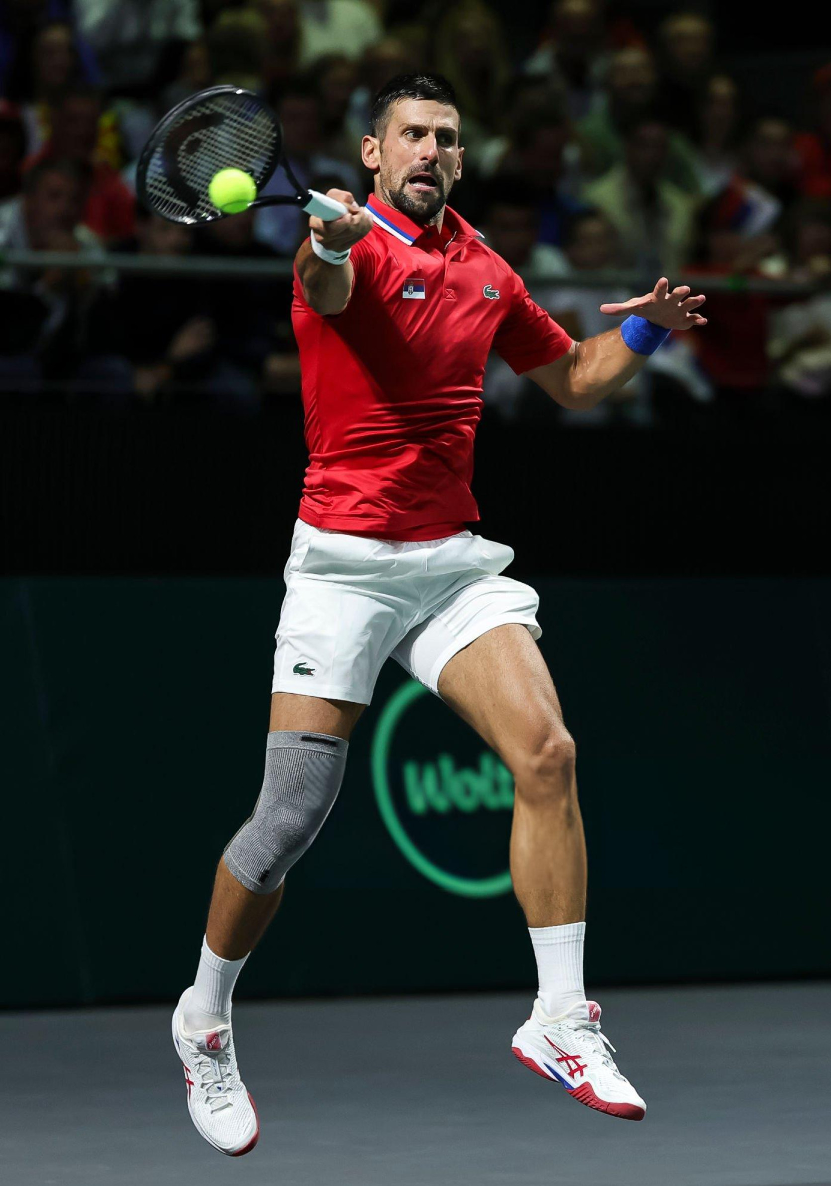 戴维斯杯力克拉沃尔杯，德约科维奇惊艳四座的简单介绍