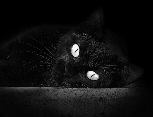 西决生死战之夜,哈登如何以节奏大师之姿带动全队