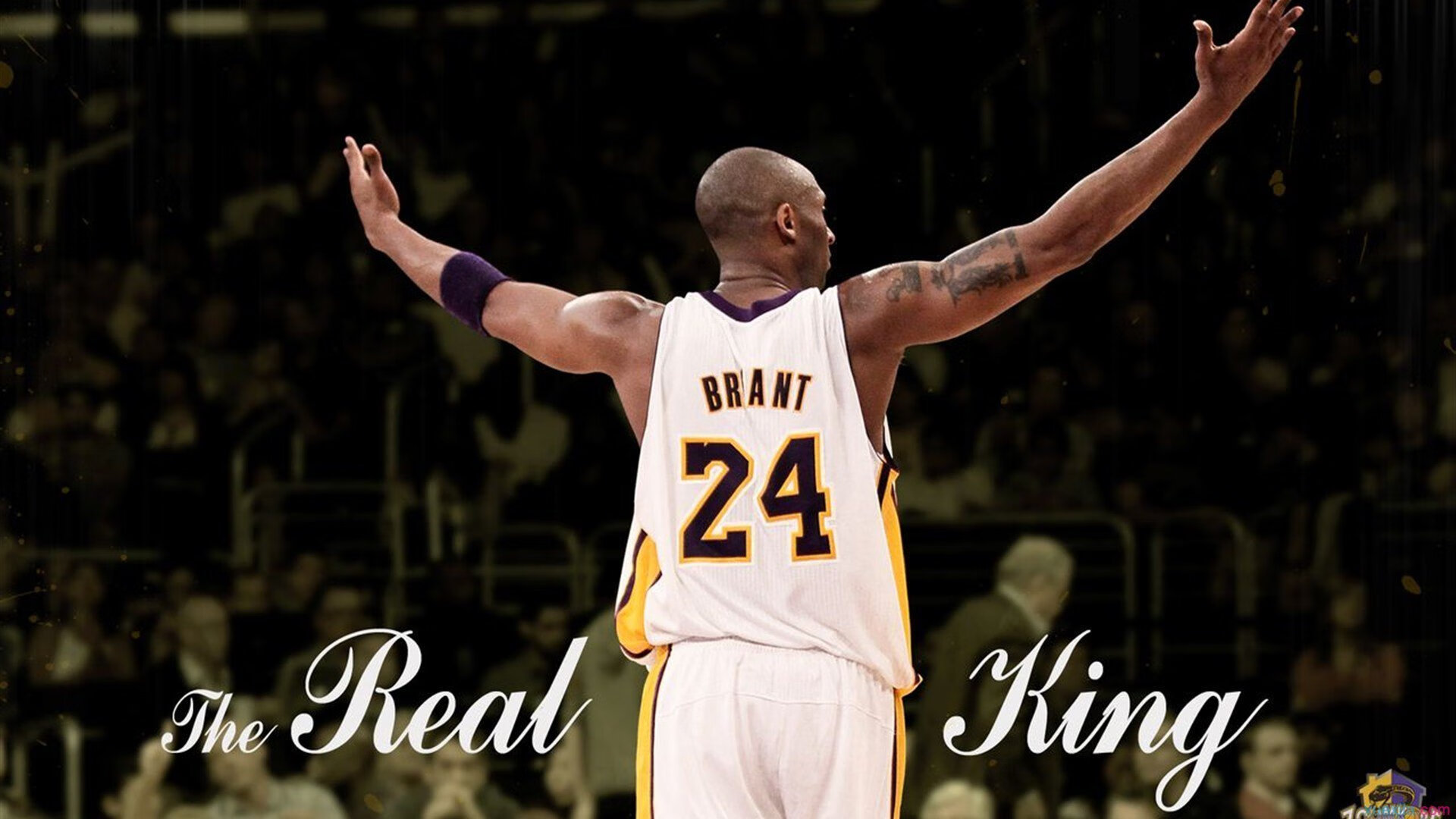 贝恩让比赛提前失去悬念,猛龙收割开拓者