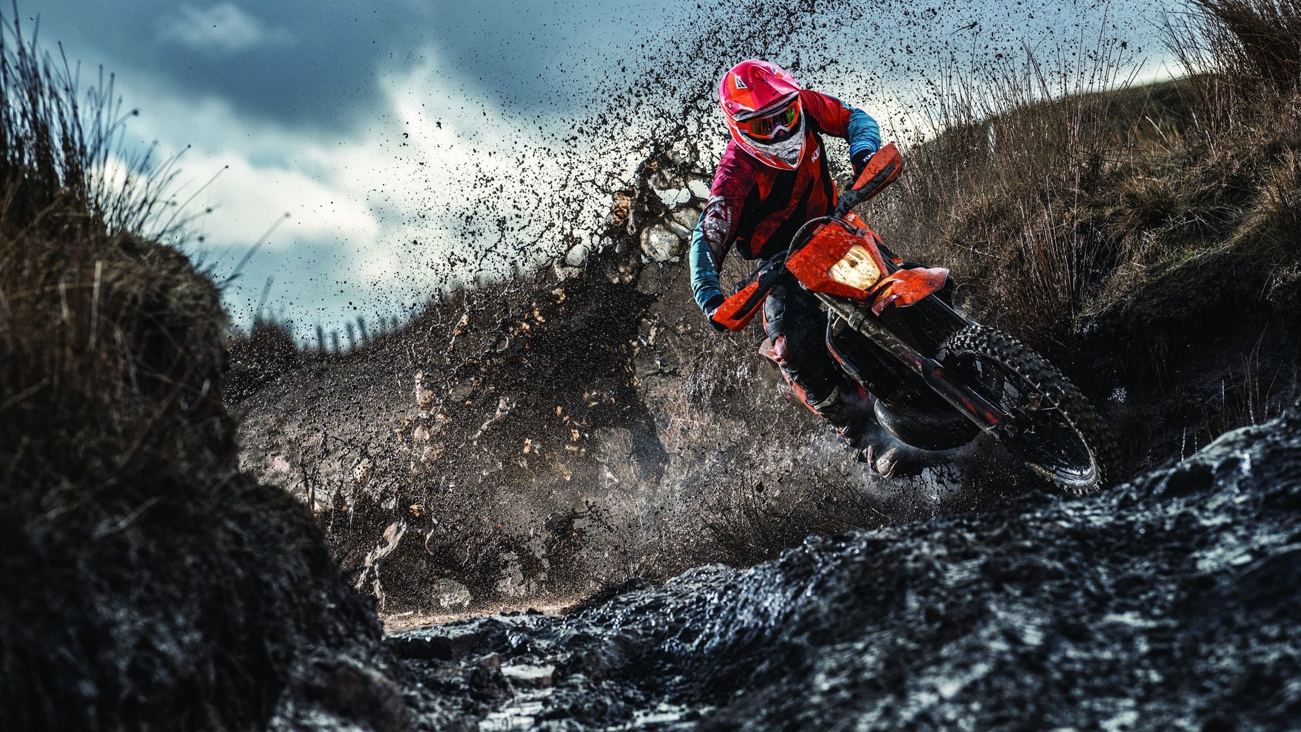 霍勒迪的孤勇,当活塞的齿轮咬碎国王的王冠